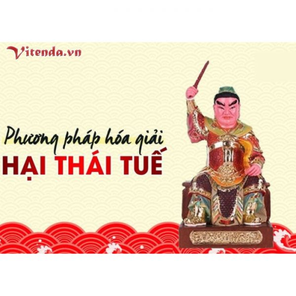 Pham Thai Tue Nam 2024 Vitenda